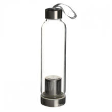 Drinking Glass Water Bottle with Tea Infuser